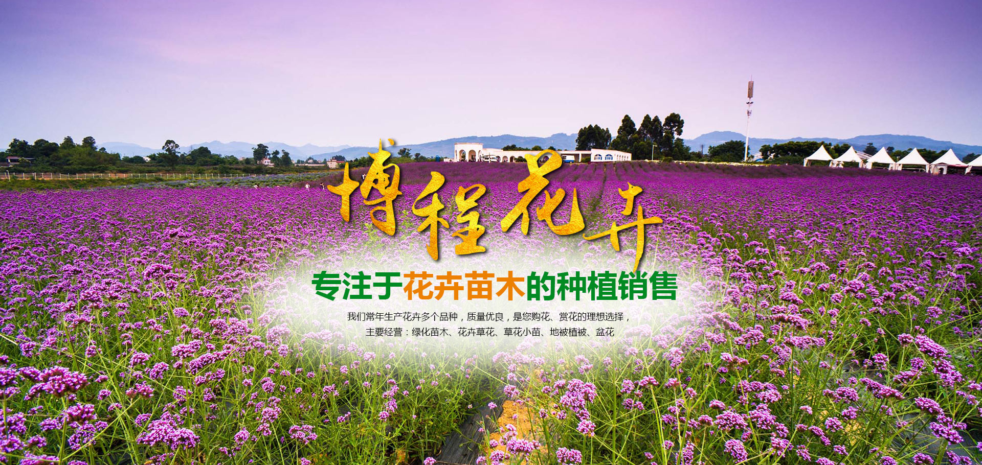 青州市博程花卉苗木有限公司