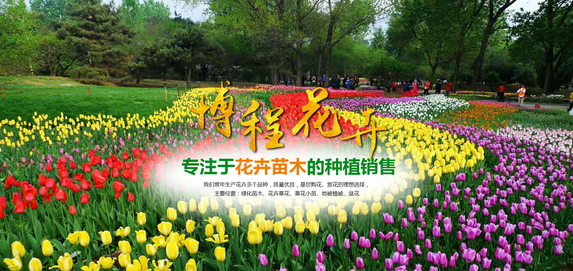 青州市博程花卉苗木有限公司